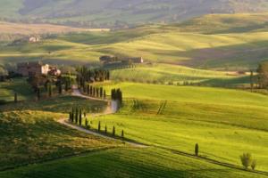 多特蒙德后卫因伤复出，球队整体实力大增