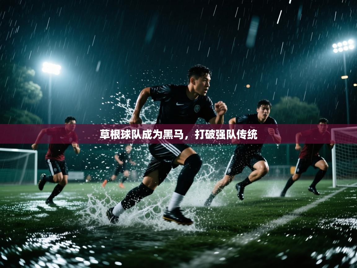 草根球队成为黑马，打破强队传统  第1张