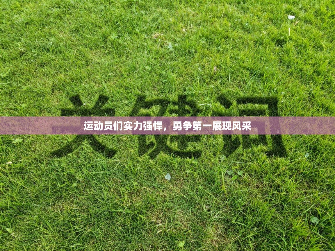 运动员们实力强悍，勇争第一展现风采  第2张