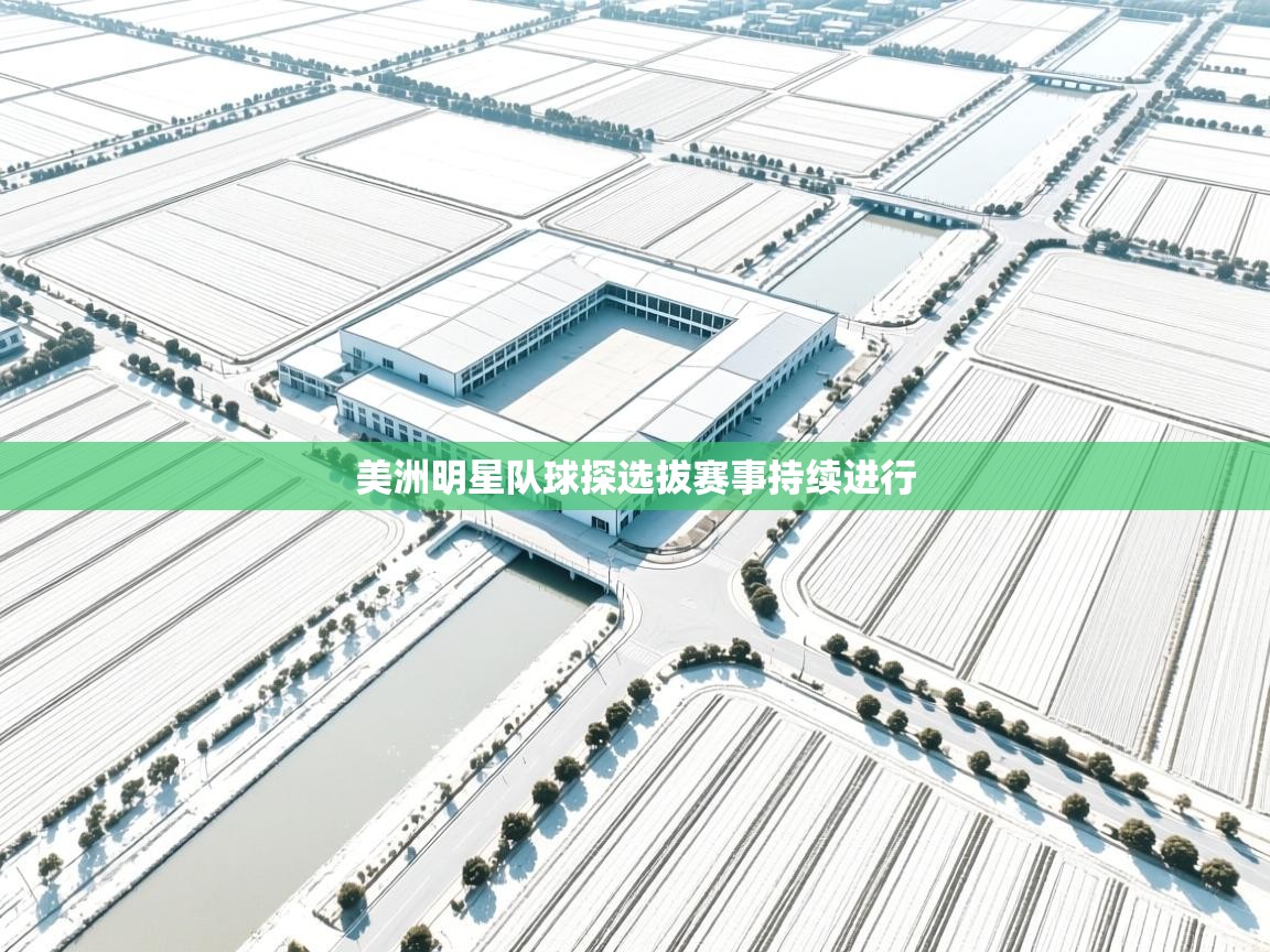 美洲明星队球探选拔赛事持续进行